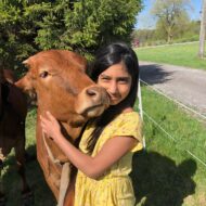Visit the Farm