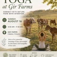 Yoga at Gir Farms