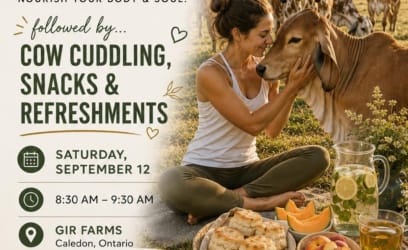 Yoga at Gir Farms – Saturday, September 12, 2026